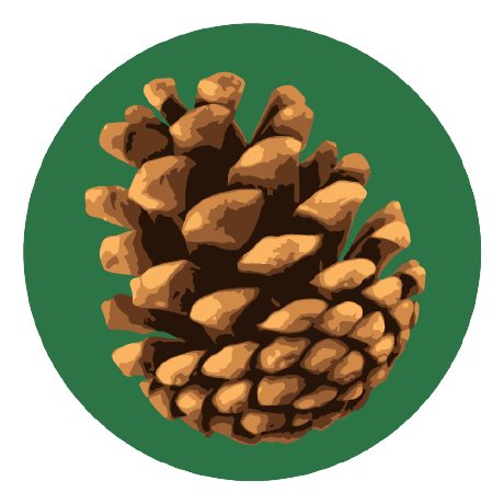 Igiloh Pinecone Github - Ultra HD Nature Wallpaper - HD