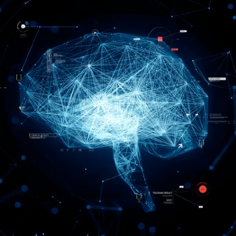 Teomanegeselcuk Teoman Selcuk Github - Best Nature Photos in High Resolution