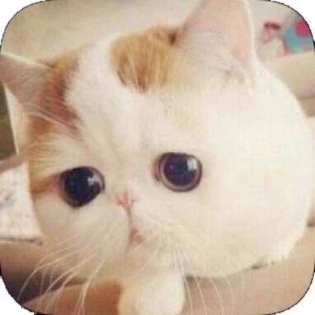 Github Cotzhang Framework Cot Panelistic Framework Sidebar A Sidebared Version Of Framework - Professional 4K Vintage Designs | Free Download