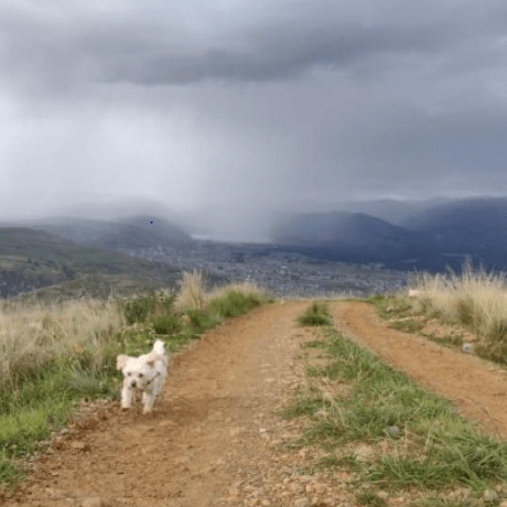 Jonatanmoreno777 Jonatan Moreno Github - Artistic High Resolution City Designs | Free Download