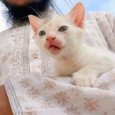 Khan Saheb Github - Incredible Mobile Ocean Pictures | Free Download