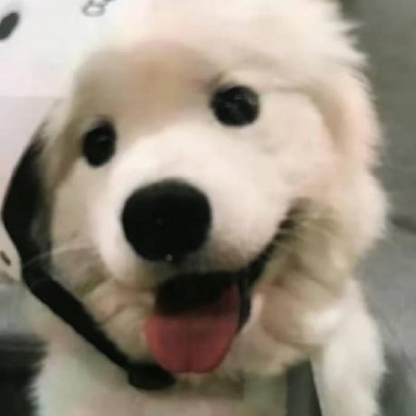 Github 77979151 545455656 - Best Colorful Patterns in HD