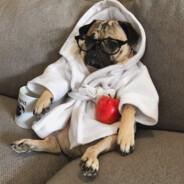 Github Lxanii Gd Optimizer Lag Optimizer For Geometry Dash - 4K Abstract Photos for Desktop