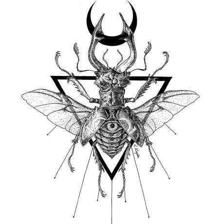 Petrus Github - Download Beautiful Light Illustration | Mobile