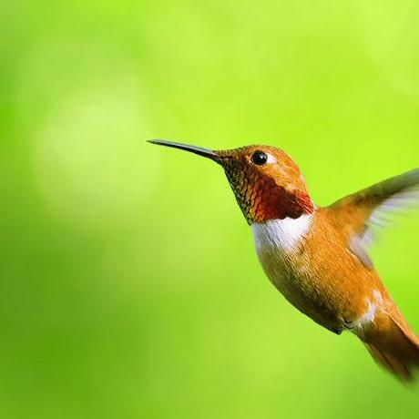 Simulation Synchronization Simcert - Premium City Design Gallery - Full HD