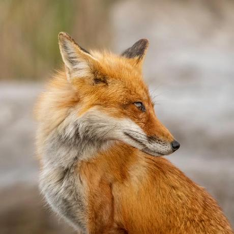 Valmosee Joice Github - HD Dark Textures for Desktop