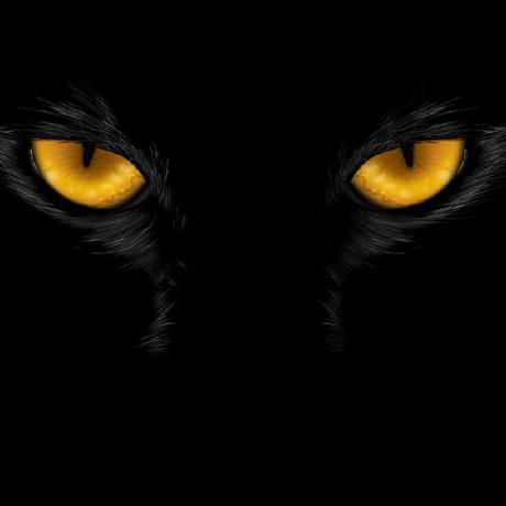 Akeyifan Ake Github - Best Sunset Arts in Ultra HD