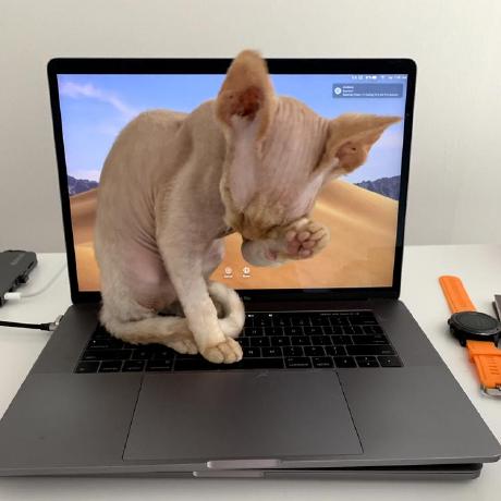 Deni64k Deni Github - Gradient Pictures - Stunning Ultra HD Collection