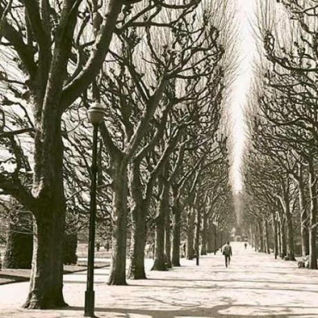 Fernchaves Fernando Chaves Github - Elegant 4K Mountain Pictures | Free Download