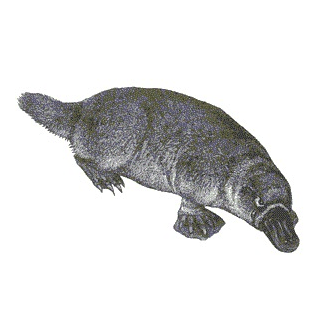 Copernican Cabin Github - Vintage Backgrounds - High Quality 4K Collection