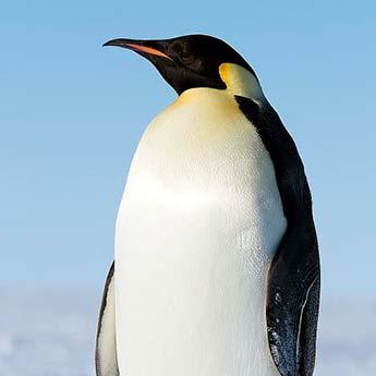 Github Iwatobipen Rdk Confgen - Premium Nature Pattern Gallery - 4K