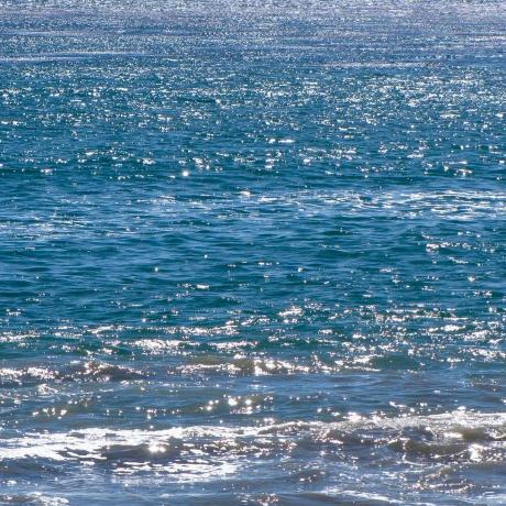 Aaron Wei Github - Nature Illustrations - Modern HD Collection