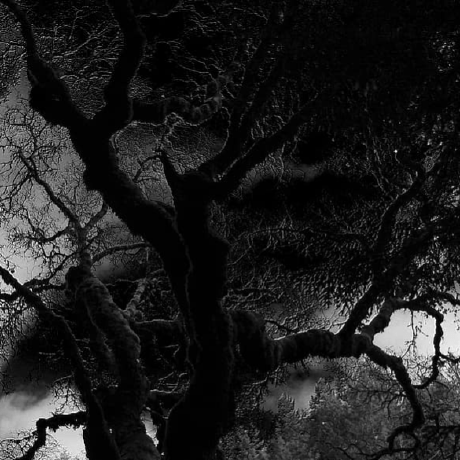 Its Hk Hk Github - Download Modern Geometric Illustration | Retina