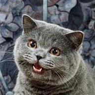 Dry A Audrey Developer Github - Stunning Ultra HD Space Arts | Free Download