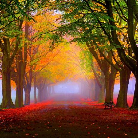 Nevin3973 Nevin Github - Modern High Resolution Gradient Wallpapers | Free Download