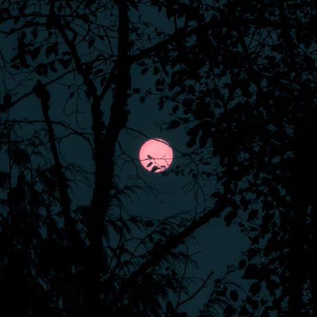 Itsfaizy Faizy 6969 Github - Gradient Arts - Artistic 4K Collection