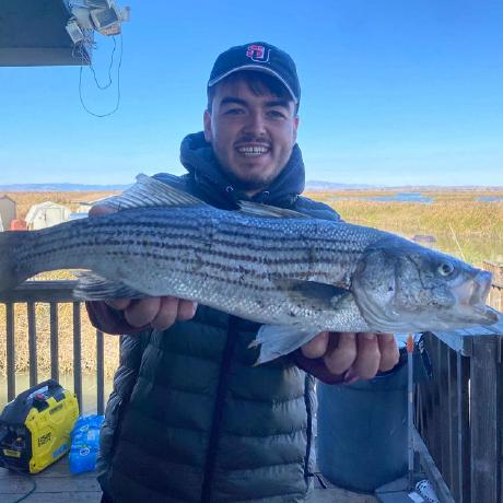 Github Csandu123 Blogginaway - Premium Sunset Design Gallery - 8K