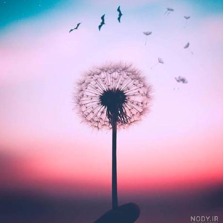 Zarin7 Shamima Nasrin Zarin Github - HD Landscape Photos for Desktop