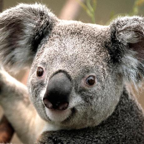 Github Fcfangcc Pyxxl Xxl Job Python Python Xxl Job - Mobile City Wallpapers for Desktop