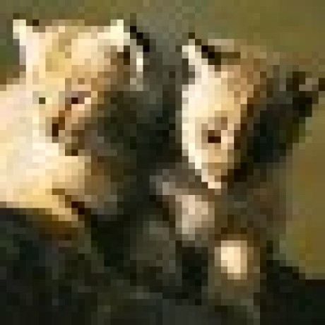 Euro Solutions Github - Best Dark Illustrations in 8K