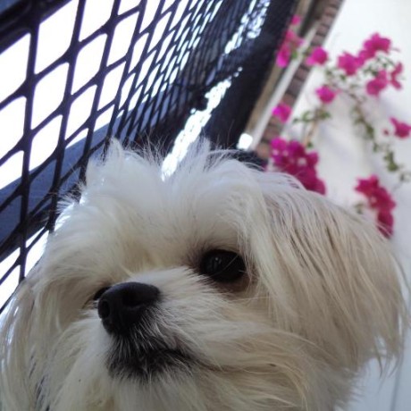 Paulaashvillage Paula Github - Geometric Wallpapers - Amazing HD Collection