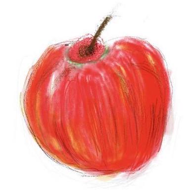 Senichi Katayama Github - Premium Landscape Design Gallery - Desktop