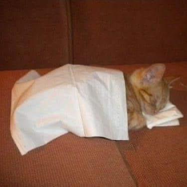 Naut Code Github - Amazing HD Colorful Backgrounds | Free Download