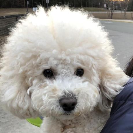 Beckychen0926 Becky Chen Github - Elegant Space Background - Retina