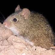 Xavi Mac Github - Amazing Light Pattern - Ultra HD