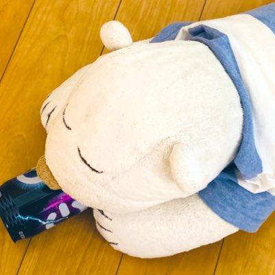 Shirokuma Software Github - Landscape Pictures - Professional 4K Collection