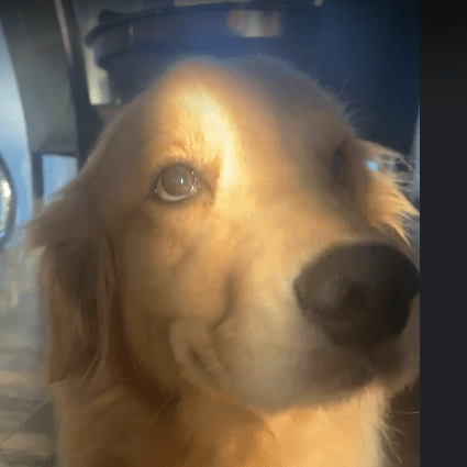 Mason112358 Mason Github - Download Classic Abstract Photo | Full HD