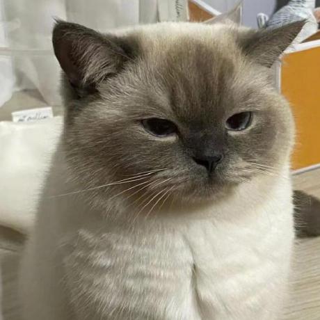 Gtb 2022 Lu Yaner Github - Desktop Landscape Backgrounds for Desktop