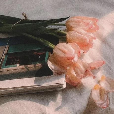 Sl Ius Sius Github - Download Gorgeous Space Wallpaper | Mobile