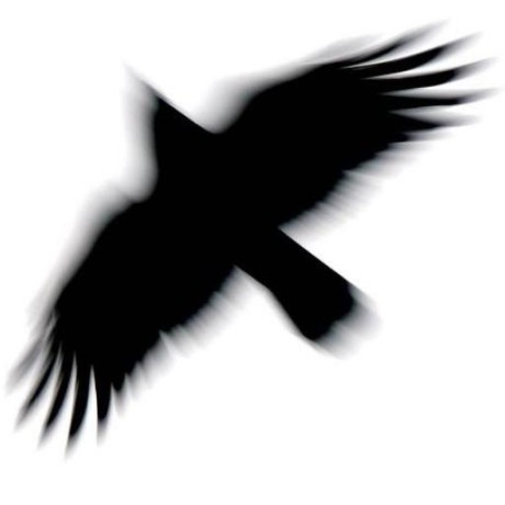 E Milne Github - Colorful Photos - Incredible Desktop Collection