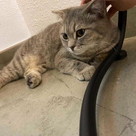 Endylus Endy Github - City Texture Collection - Mobile Quality