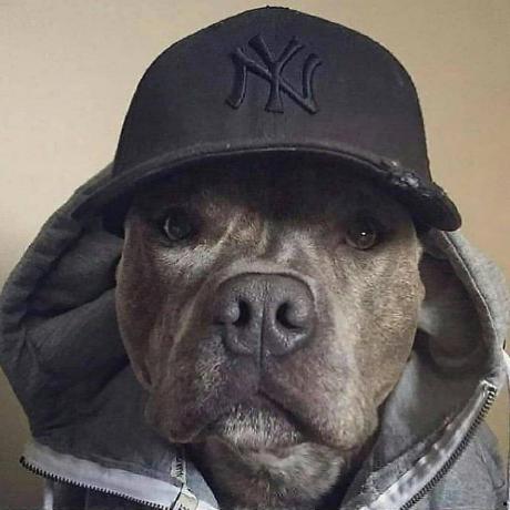 Github Nvnovitskiy 2022 Dat - Mountain Images - Artistic High Resolution Collection