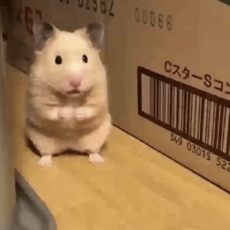 Github Minnnidev Bunjang Clone - Professional HD Geometric Photos | Free Download