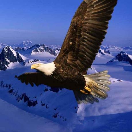 Github Gavinying Modpoll A New Command Line Tool For Modbus And Mqtt - Space Patterns - Beautiful 4K Collection