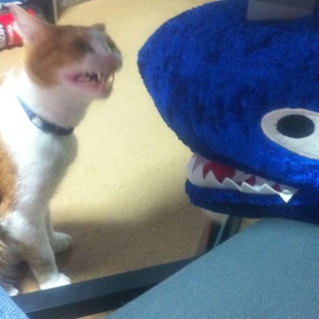 Yamada Ta Github - Download High Quality Space Picture | Full HD