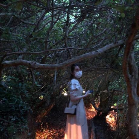 Rena Github - Best Vintage Wallpapers in Full HD