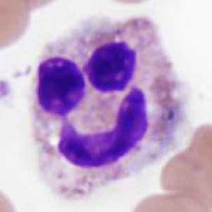 Github Livnatje Immuneresistance This Resource Provides The Code - Download Amazing Space Illustration | High Resolution