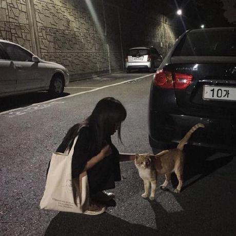 Clarissafuller Clarissa Github - Best Minimal Patterns in HD