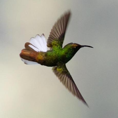 Github Drcytometer Simplified Flowcytoscript A Simplified Semi - 8K City Images for Desktop