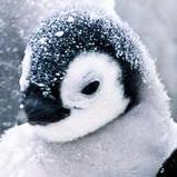 Github Dreadkingrathalos Mh Fanmade Collection - Mountain Background Collection - 8K Quality