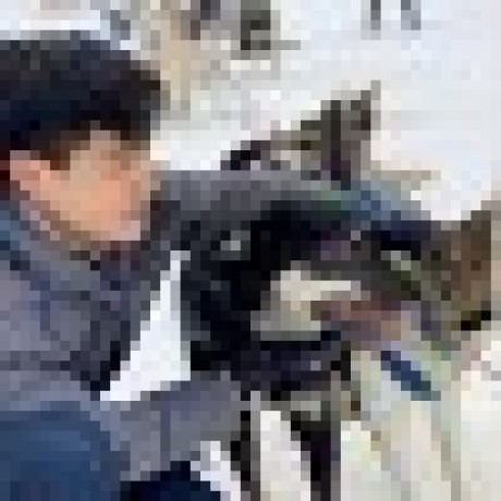 Dhuang Cai Github - Ultra HD Colorful Illustrations for Desktop