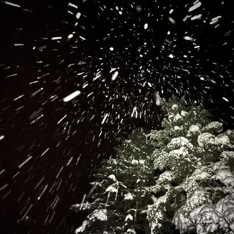 Kleinrein Andreas Rein Github - Nature Designs - Classic 8K Collection