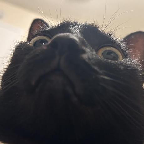 Github Wincowgerdev Openspecy Package Analyze Process Identify - Classic Vintage Illustration - Ultra HD