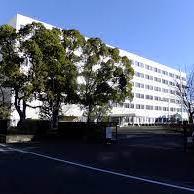 213 Hara Github - Download Creative Space Texture | 8K