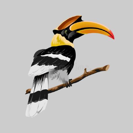 Hornbill Github - Light Illustrations - Beautiful Retina Collection