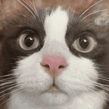 Github Lzn1337x Hof Sender - Vintage Wallpaper Collection - 4K Quality